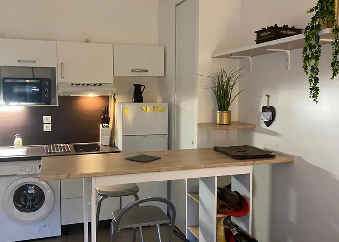 3 Mns De La Avec Jardin Classe 3 Etoiles Apartment *