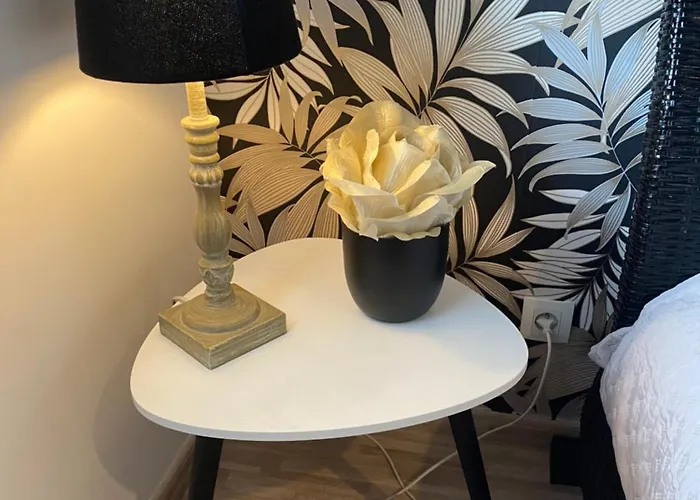 3 Mns De La Avec Jardin Classe 3 Etoiles Apartment *